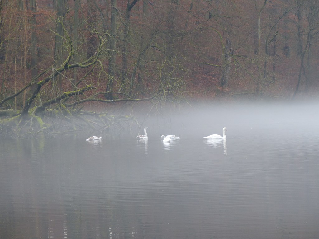 Smoke on the&nbsp;water