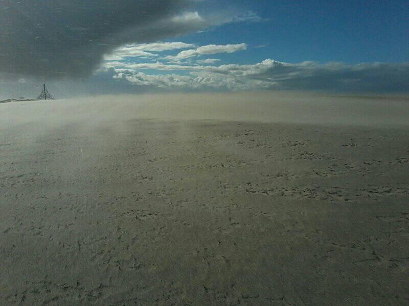 53761056_591575608025139_4114501132523405312_n