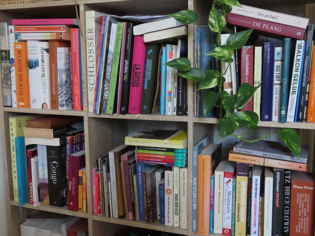 Boekenliefde in De&nbsp;Slegte