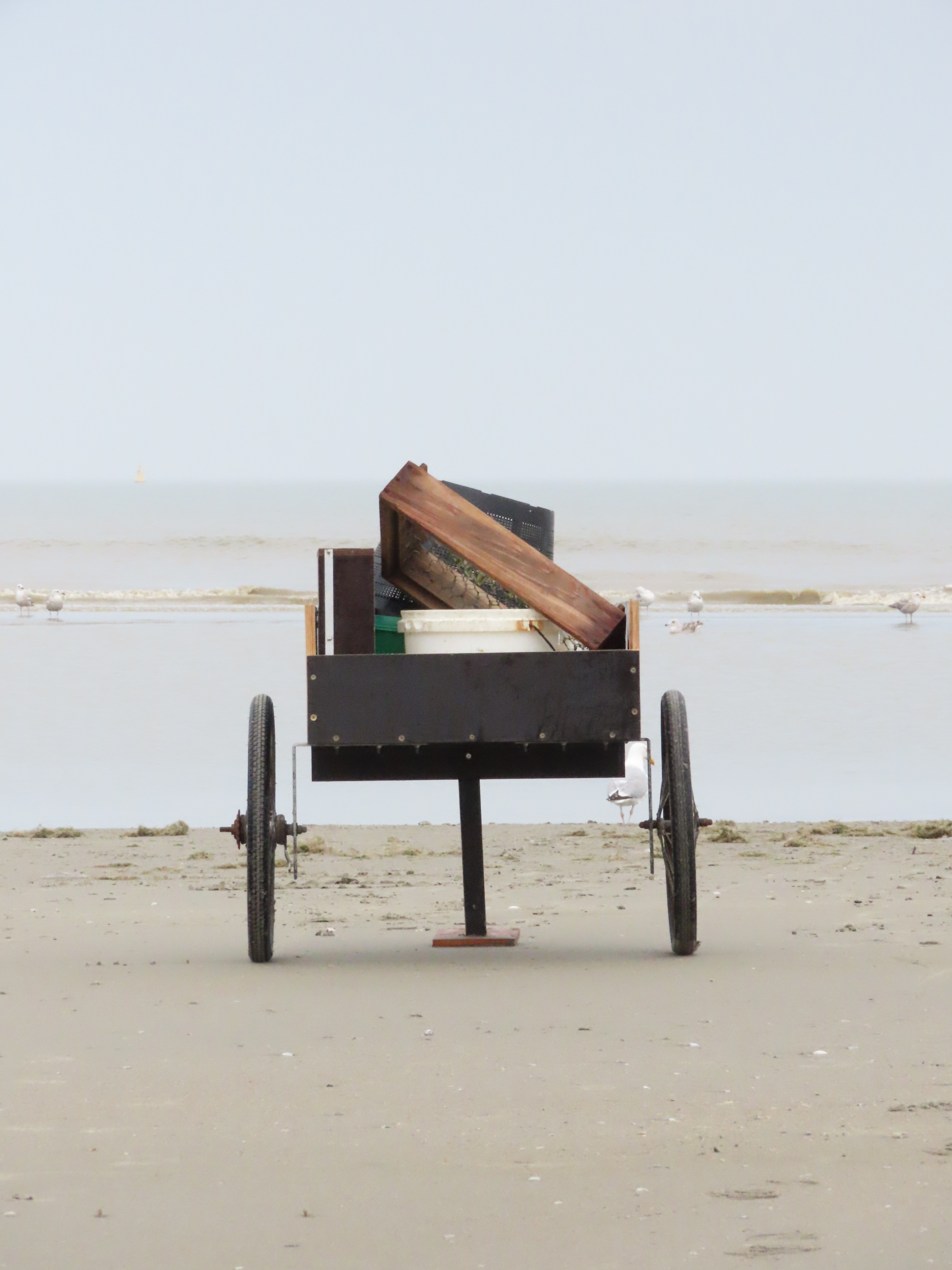 De Noordzee